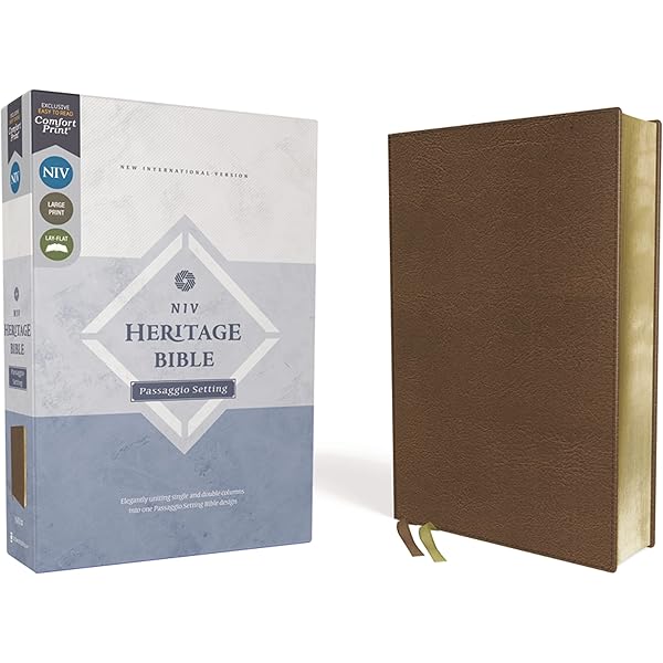 100000 years of beauty: 5 volumes sous coffret - Édition